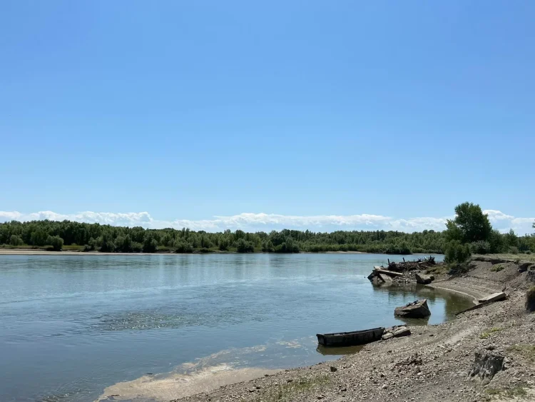 Ертіске сібір бекіресінің шабақтары жіберілді