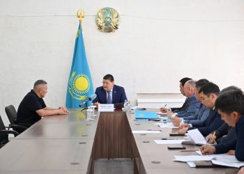 Жол, жарықтандыру, құрылыс: Бородулихада қандай мәселелер бар?