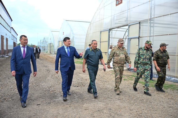 Фото: Абай облысы әкімінің баспасөз қызметі