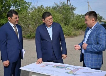 Семейде жекпе-жек сарайы мен мұз айдыны салынады