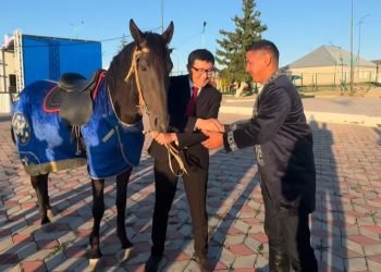 Абай тойында ерекше көзге түскен азаматқа ат мінгізді