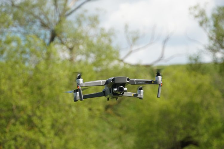 Фото; pixabay.com