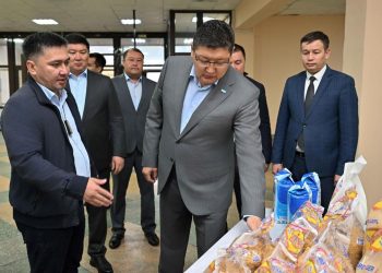 Шығыс Қазақстан ұн, құрама жем комбинатының қуатын арттыру қажет — Берік Уәли