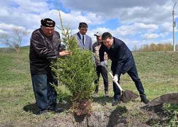 Көшет егуден Көкпекті көш бастап тұр