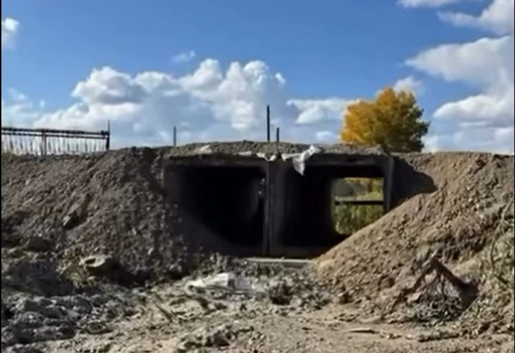 Фото: видеодан алынған кадр