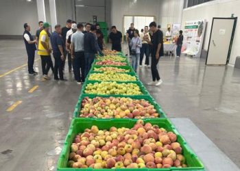 Абай облысының делегациясы Түркістанға барды