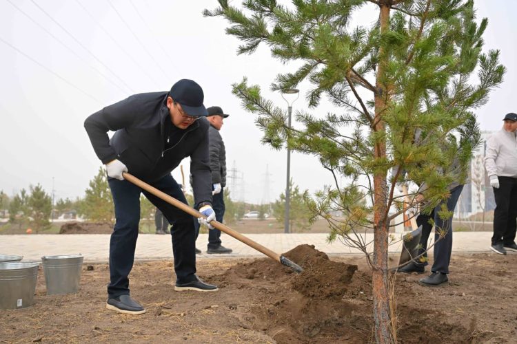 Фото: Абай облысы әкімінің баспасөз қызметі