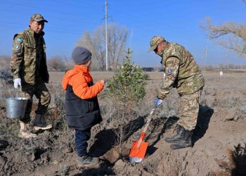 Семейде аумағы 100 га болатын орман тұқымбағы ашылды