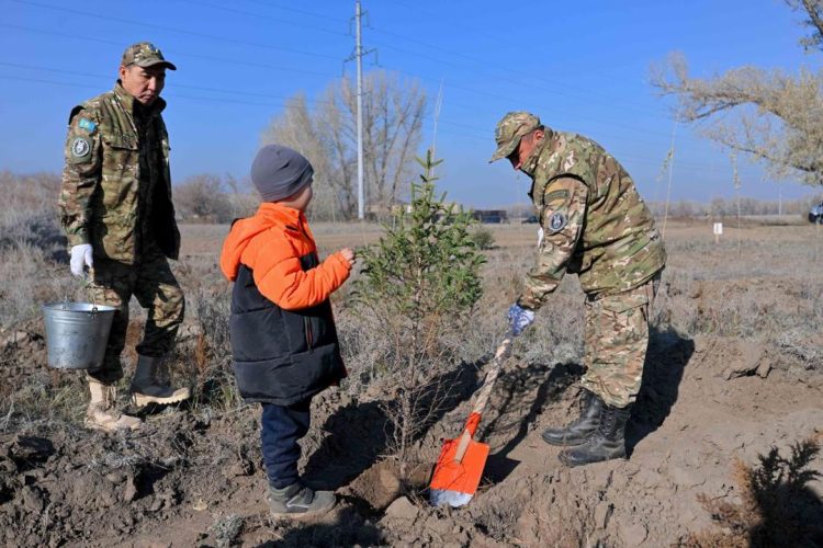 Фото: Абай облысы әкімінің баспасөз қызметі