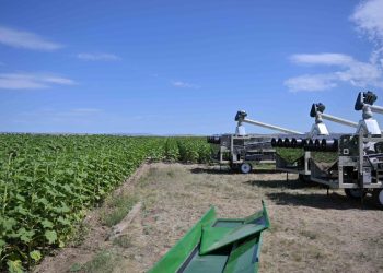 Абай облысында ауыл шаруашылығын алға сүйрейтін жобалар қолға алынады