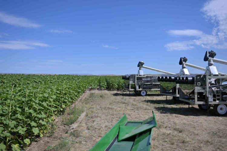 Фото: Абай облысы әкімінің баспасөз қызметі