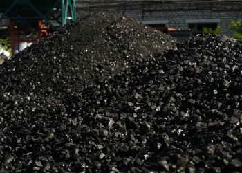 Премьер-министр көмір бағасын бақылауда ұстауды тапсырды