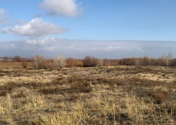Абай облысында 152 мың гектар жер мемлекетке қайтарылды