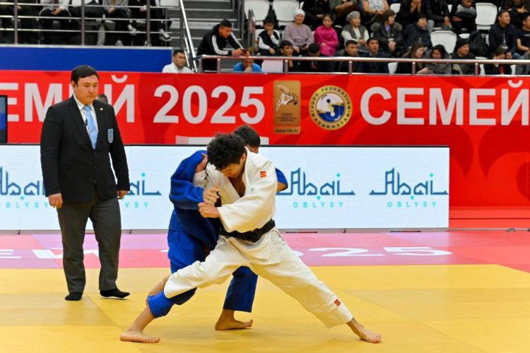 Фото: Абай облысы әкімінің баспасөз қызметі