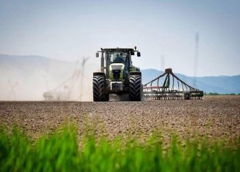 Аким области Абай: господдержка повышает эффективность аграрного сектора региона