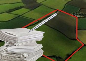 Мемлекеттік жер телімдерін заңсыз пайдаланған — Абай облысы