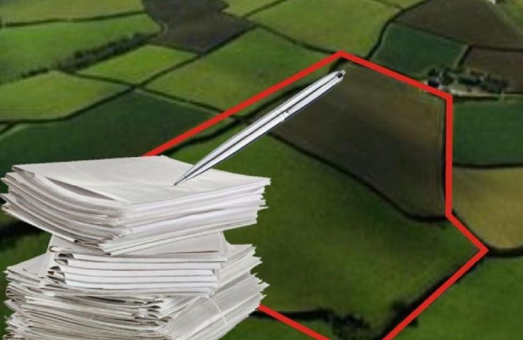 Фото: ҚР Ауыл шаруашылығы министрлігі