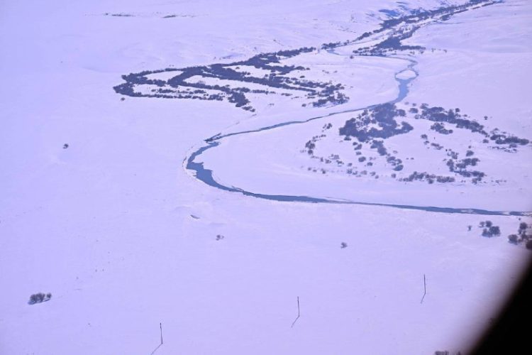 Фото: Абай облысы әкімінің баспасөз қызметі