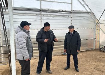 Абай облысында заманауи жылыжай кешенінің іргесі қаланып жатыр