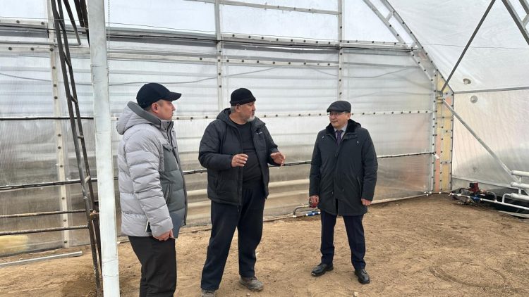 Фото: Agrotrend.kz