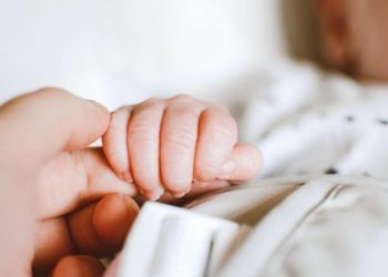 Абай облысында демографиялық өсім байқалады