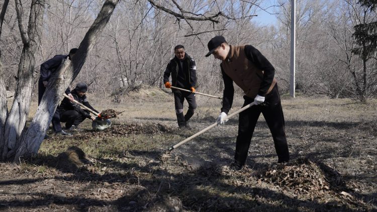 Фото: Абай облысы әкімінің баспасөз қызметі